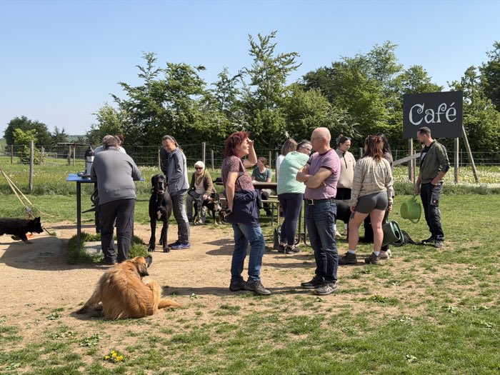 Hundehalterinnen und Hundehalter stehen beim Café-Schild auf dem Hundeplatz zusammen und unterhalten sich, die Hunde liegen entspannt daneben.