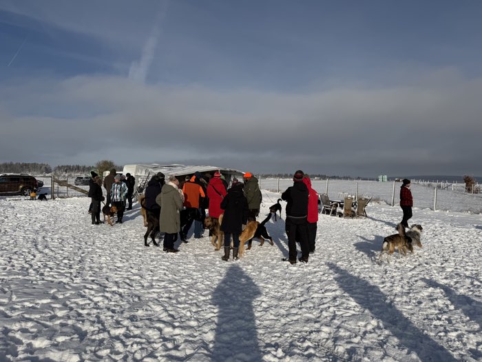 Spielstunde im Winter: Hundehalter und Hunde auf dem verschneiten Hundeplatz bei blauem Himmel.